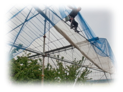 ���Y�҂��