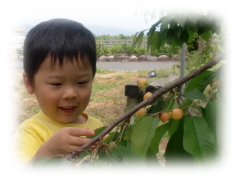 ���Y�҂��